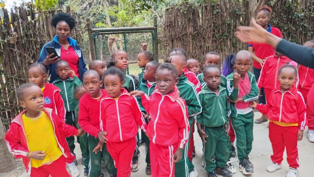 whatsapp image 2025 10 29 at 9.36.16 am